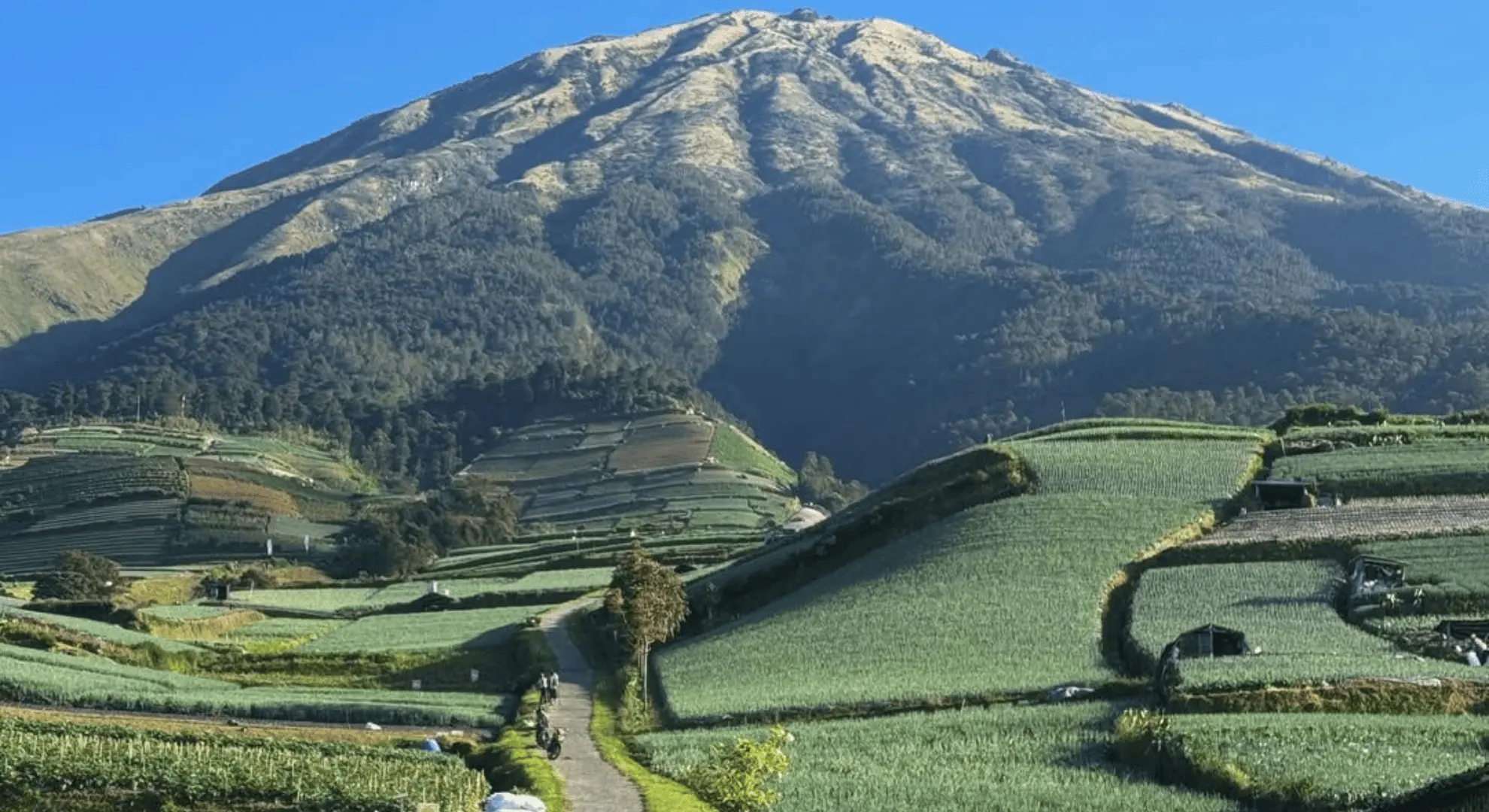 Yogyakarta: Nepal Van Java & Vegetable Villages Tour